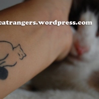 Tattoo de Gato